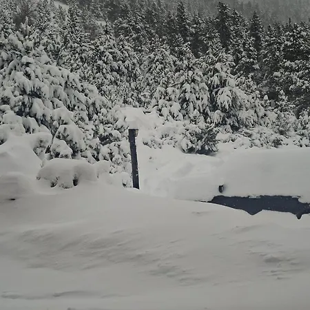 Setcases-vallter Mitja Pensio 3