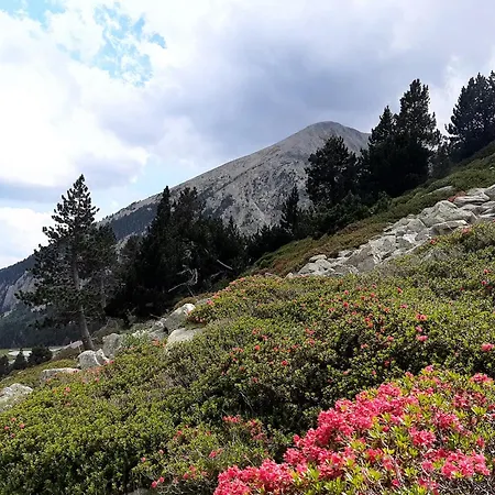 بيت ضيافة Setcases-vallter Mitja Pensio 3 سيتكاساس